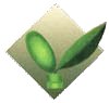 Logo Frantoio Sociale Colline di Massa Marittima